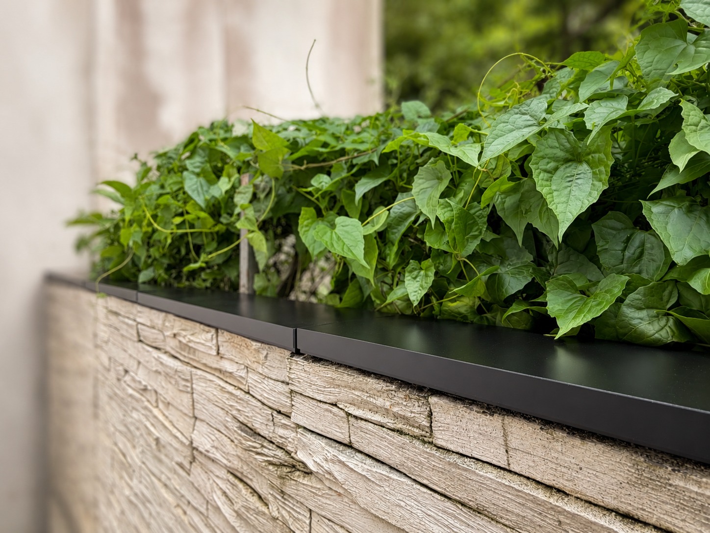 Close-up of completed Apeiron Guard climb detection sensors on a planted stone garden wall